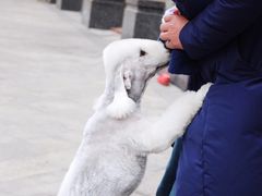 -重庆市江北嘴中央商务区中央公园