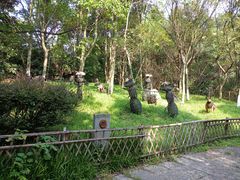 -天目湖山水园