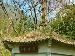 -羚羊峡古栈道森林公园