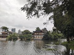 -荔湾湖公园