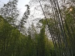 -广州市石门国家森林公园