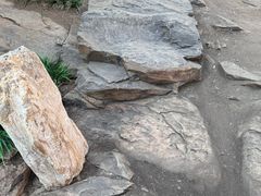 -中国第四纪冰川遗迹陈列馆