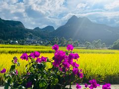 -万峰林风景区
