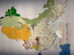 -上海自然博物馆