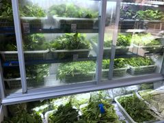 蔬菜-黔府豆米火锅野菜馆(南马店)