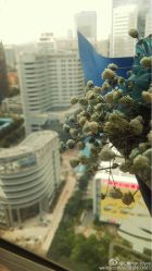 -意施精准塑形普拉提