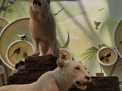 -陕西自然博物馆