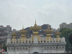-上海东林寺(金山区)
