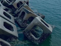 -东疆建设开发纪念公园