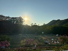-黄埔油麻山森林公园