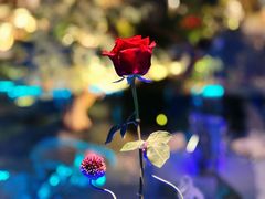 -九献创意菜·新中式(亮马河花园私宴店)