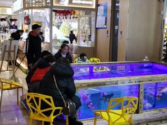 -天虹购物中心(石路店)