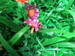 -湘邻呷铺·田园家宴(汉基广场店)