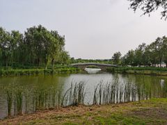 -东郊湿地公园