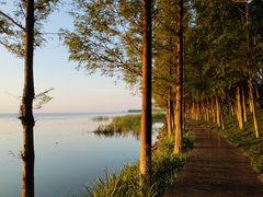-阳澄湖费尔蒙酒店颐丰阁中餐厅(马鞍山西路店)