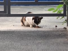 -万柳阁小馆·花园餐厅(龙潭湖店)