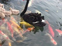 -湖鲜楼