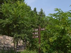 -阳台山自然风景区