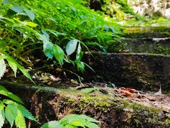 -藏龙百瀑风景区