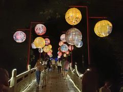 -广西壮族自治区药用植物园