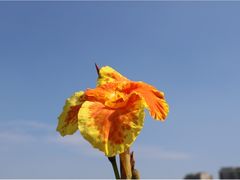 -松山湖南湖湾露营营地