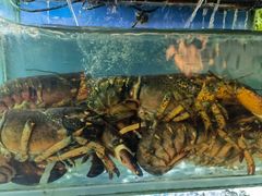 -桔子海鲜烧烤大排档(台东店)