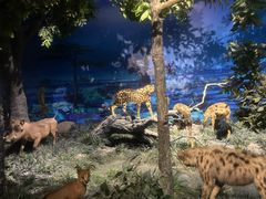 -国家自然博物馆