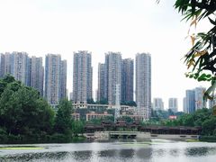 -重庆彩云湖湿地公园