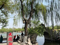 -济南大明湖景区