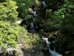 -大围山国家森林公园