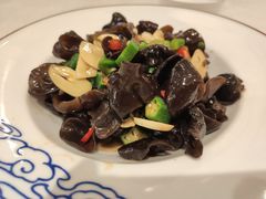 爽拌木耳-大铁勺新津菜(东丽阳光新业广场店)