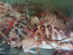 -胜海大排档·海鲜·黄鳝饭(十年老店)