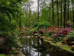 -共青国家森林公园-售票处