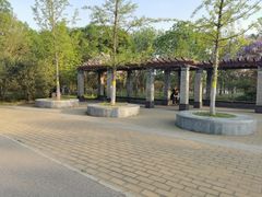 -永定河休闲森林公园