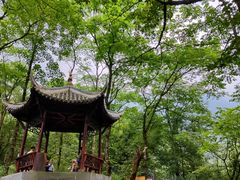 -西岭雪山大飞水景区