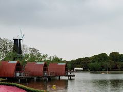 -上海鲜花港