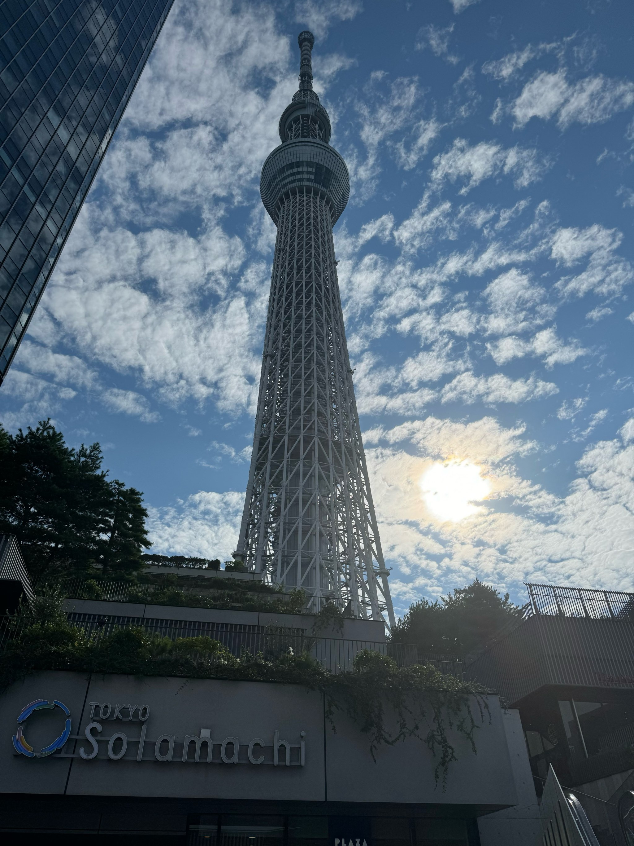 东京晴空塔多高图片