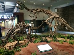 -自贡恐龙博物馆