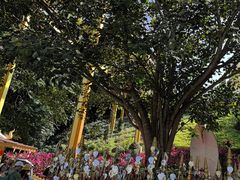 -西双版纳勐泐文化旅游区