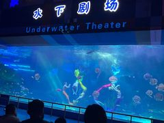 -泉城欧乐堡海洋极地世界