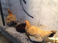 iphone_upload_pic-星伦多 自助料理(圆融店)