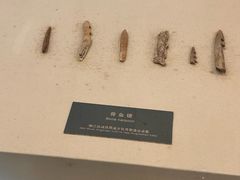 -昂昂溪遗址博物馆