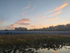 -党河风情线国家水利风景区