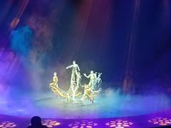 -水秀国际大剧院