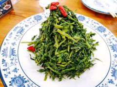 清香枸杞苗-国强手抓(北京西路店)