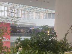 -大树餐厅(红旗街万达店)