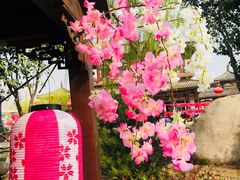-西安青龙寺遗址景区