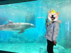 -福州罗源湾海洋世界旅游区