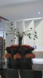 -广东韩妃整形外科医院