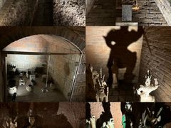 -洛阳古墓博物馆